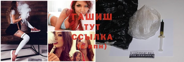 крисы Новозыбков