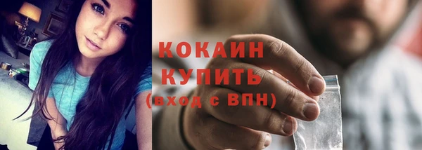 спиды Новодвинск