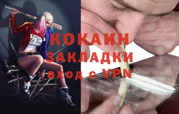 спиды Новодвинск