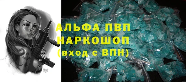 крисы Новозыбков