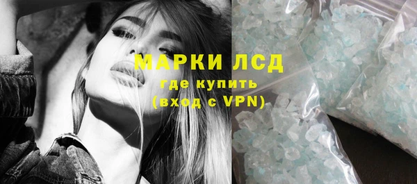 крисы Новозыбков