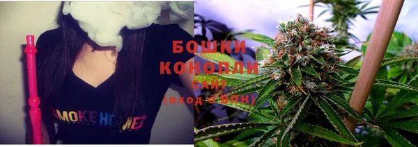 спиды Новодвинск