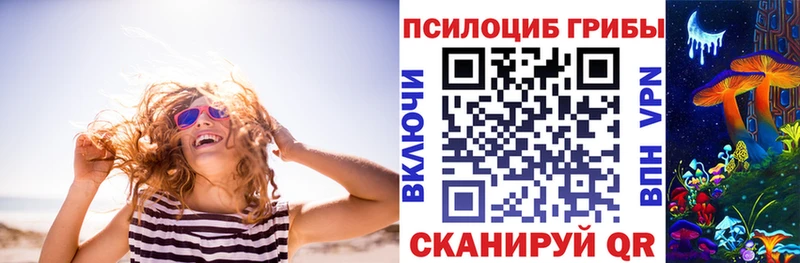 Псилоцибиновые грибы прущие грибы  мега маркетплейс  Томск 
