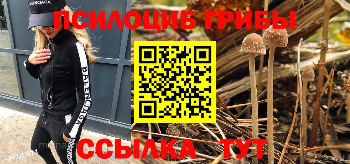 Галлюциногенные грибы Psilocybe  Томск 