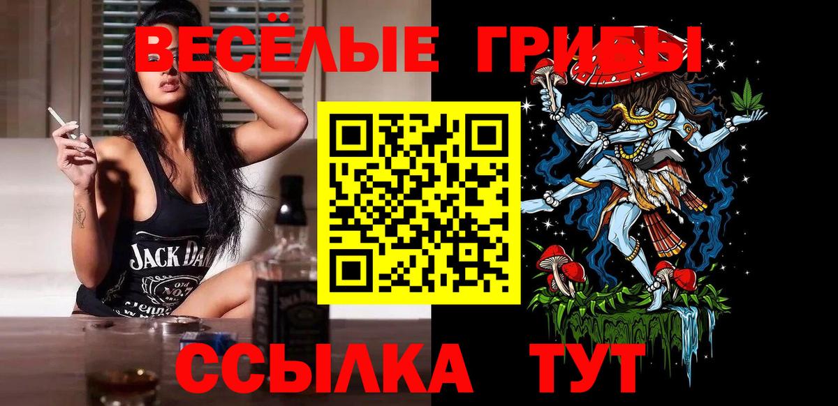 Томск  Галлюциногенные грибы Cubensis  Вход с VPN 